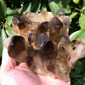 Large Raw White crystal + yellow Crystal Cluster/Black Quartz Cluster/Quartz Cluster/Black Abundance Crystal /Reiki/Meditation/self stand