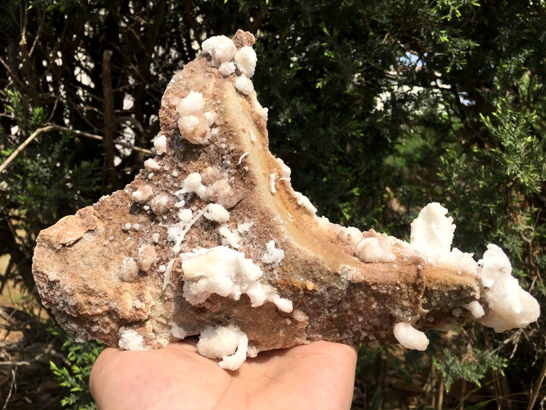 Natural large gypsum selenite on matrixgypsum clustergypsum specimenselenite crystalHealing StoneReikiChakrameditation705g#S5
