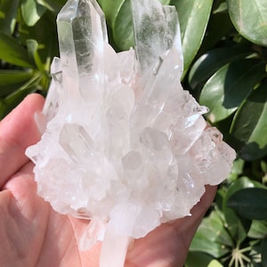 Peut inclure: Un grand amas de cristaux de quartz transparents de différentes tailles et formes. Les cristaux sont disposés en grappe, certains pointant vers le haut et d'autres vers le bas. Les cristaux sont translucides et ont un léger éclat.