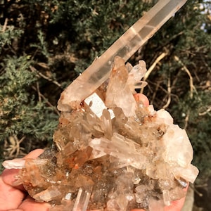 Peut inclure: Un amas de cristaux de quartz transparent avec un grand cristal pointu sur le dessus. Les cristaux sont posés sur une base de roche brune et grise.