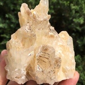 Peut inclure: Un amas de cristaux de quartz transparents avec une teinte blanc laiteux. Les cristaux sont regroupés dans une formation naturelle, créant une forme unique et intéressante.