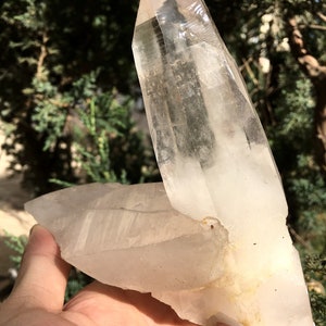 Peut inclure: Un grand amas de cristal de quartz clair avec une pointe doublement terminée. Le cristal est translucide et a une légère teinte jaune. Le cristal est posé sur une main.