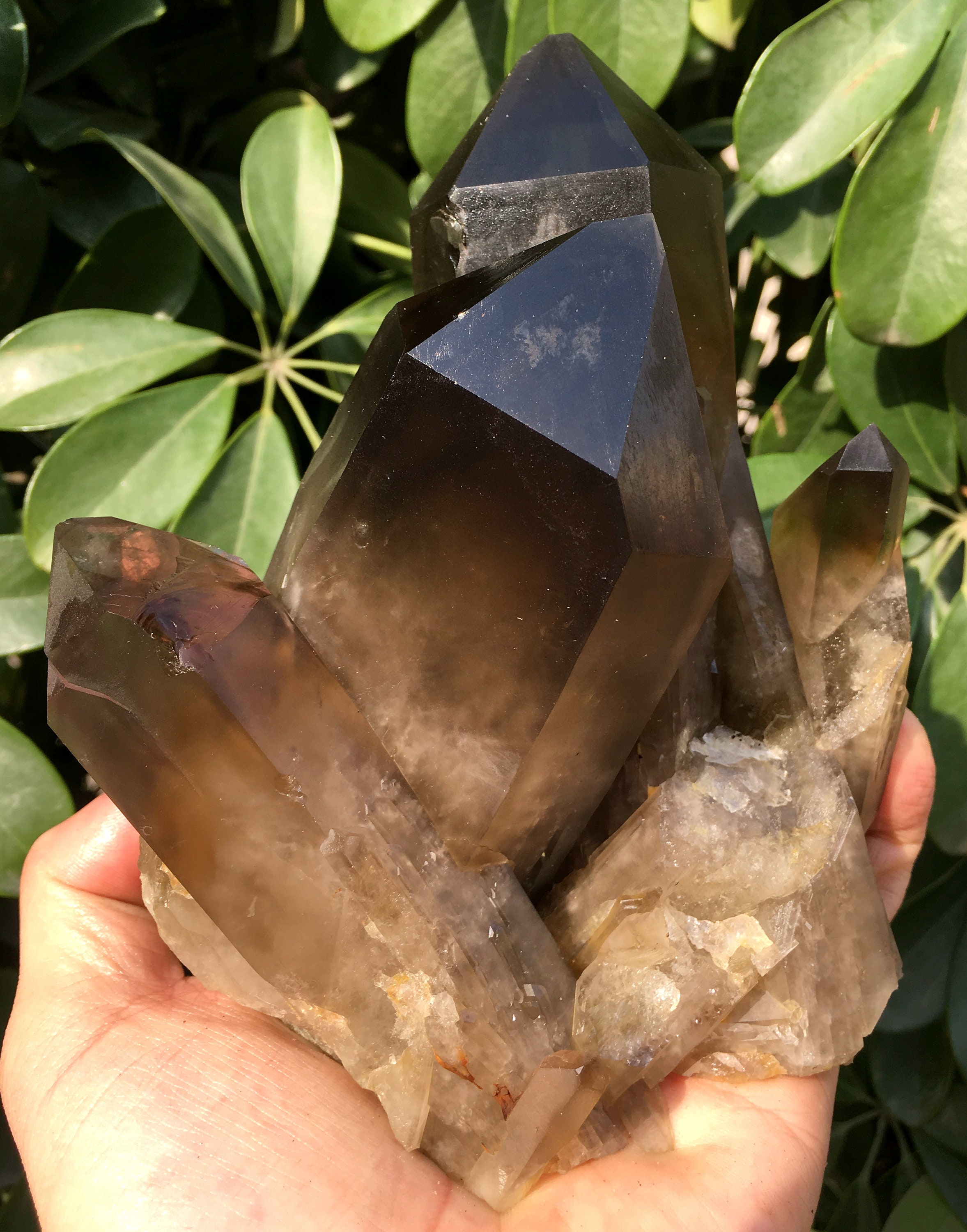 Large Raw Smoke Crystal + Yellow Crystal Cluster/Black Quartz Cluster/Quartz Abundance /Reiki/Meditation/Self Stand