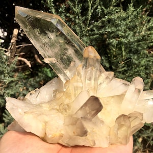 Peut inclure: Un grand amas de cristaux de quartz transparent avec un grand cristal pointu sur le dessus. Les cristaux sont disposés en amas, certains pointant vers le haut et d'autres vers le bas. Les cristaux sont translucides et ont une légère teinte jaune.