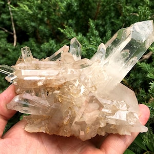 Peut inclure: Un amas de cristaux de quartz clair avec une teinte brun clair. Les cristaux sont disposés en formation en couches, avec de multiples pointes et facettes. Le quartz est tenu dans une main, avec un fond vert.