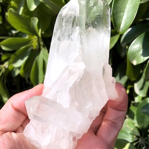 Naturel Raw Himalayan Family Crystal Quartz Point/White Abondance Quartz Cluster/Receiver Generator Quartz from Tibet-Reflect Light
