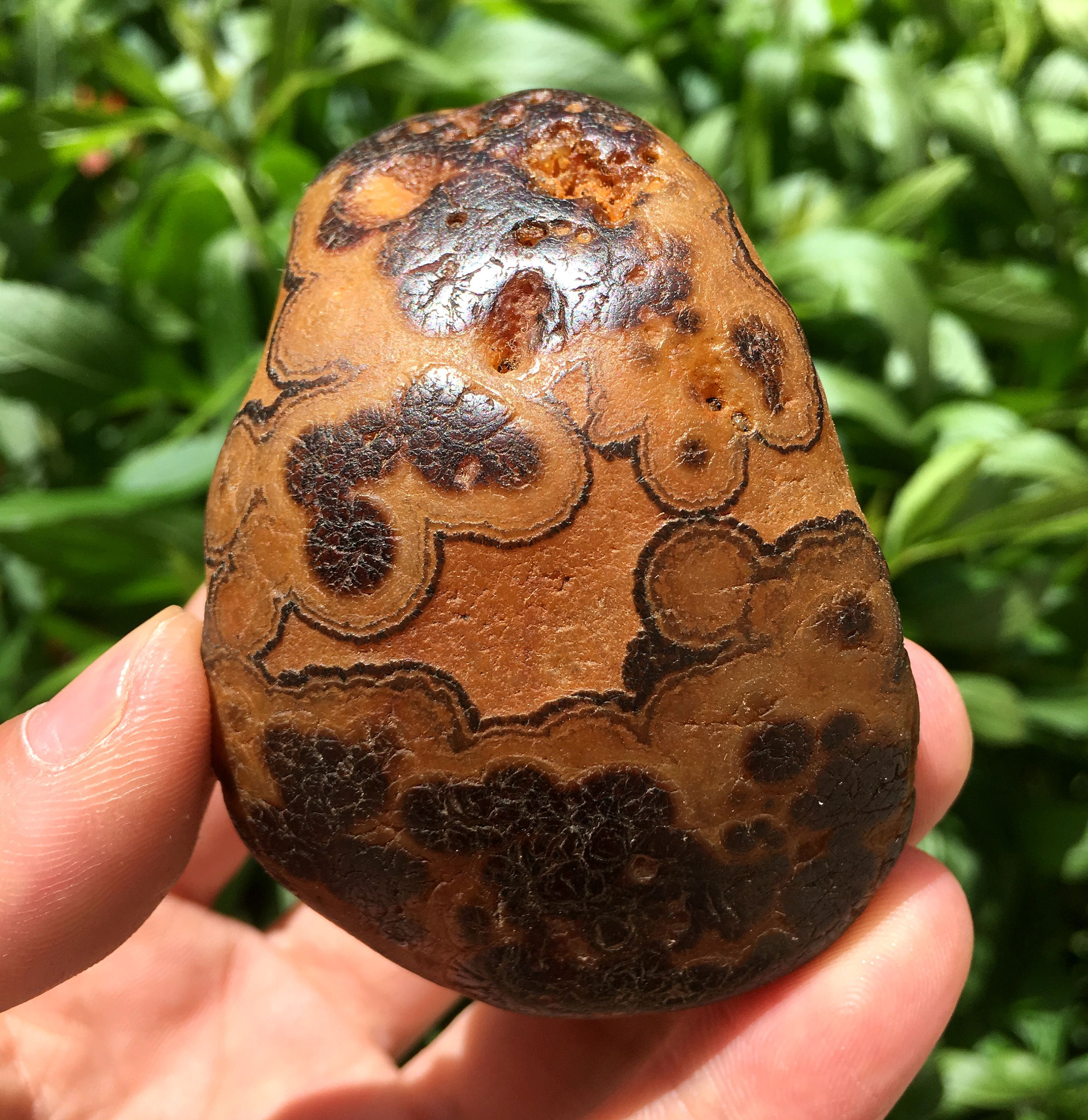 Natural Raw Agate Geode Druzy Agate/Grids Cluster Gemstone Decor/Reiki/Chakra/Energy Spiritual Stone/Gift For Her