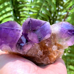 Best Natural Raw Large Chevron Banded Amethyst Quartz Point Stone Decor/Amethyst Quartz/specimen