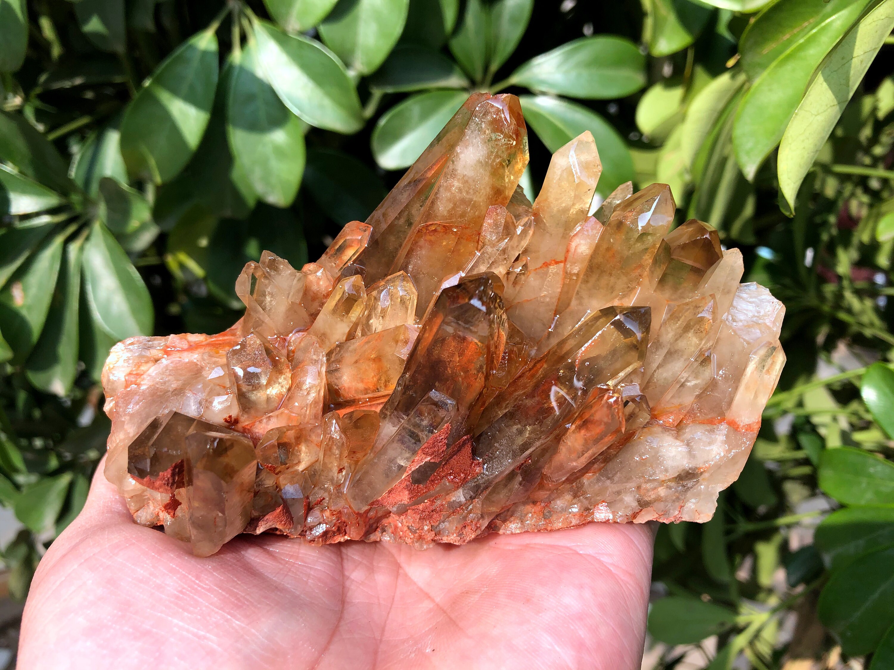 Large Raw White Crystal + Yellow Crystal Cluster/Black Quartz Cluster/Quartz Abundance /Reiki/Meditation/Self Stand