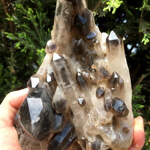 Top Large Raw black Crystal Cluster/Black Quartz Cluster/Quartz Cluster/Rough Black Abundance Crystal Plate/Healing Crystal/Energy