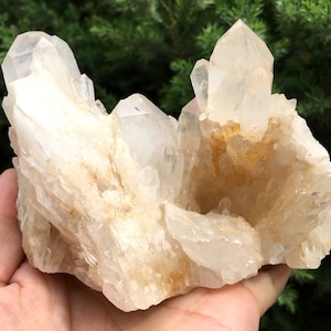 Peut inclure: Un grand amas de cristaux de quartz transparents avec une teinte brun clair. Les cristaux sont disposés en amas, certains pointant vers le haut et d'autres vers le bas. Les cristaux sont translucides et ont un éclat vitreux.