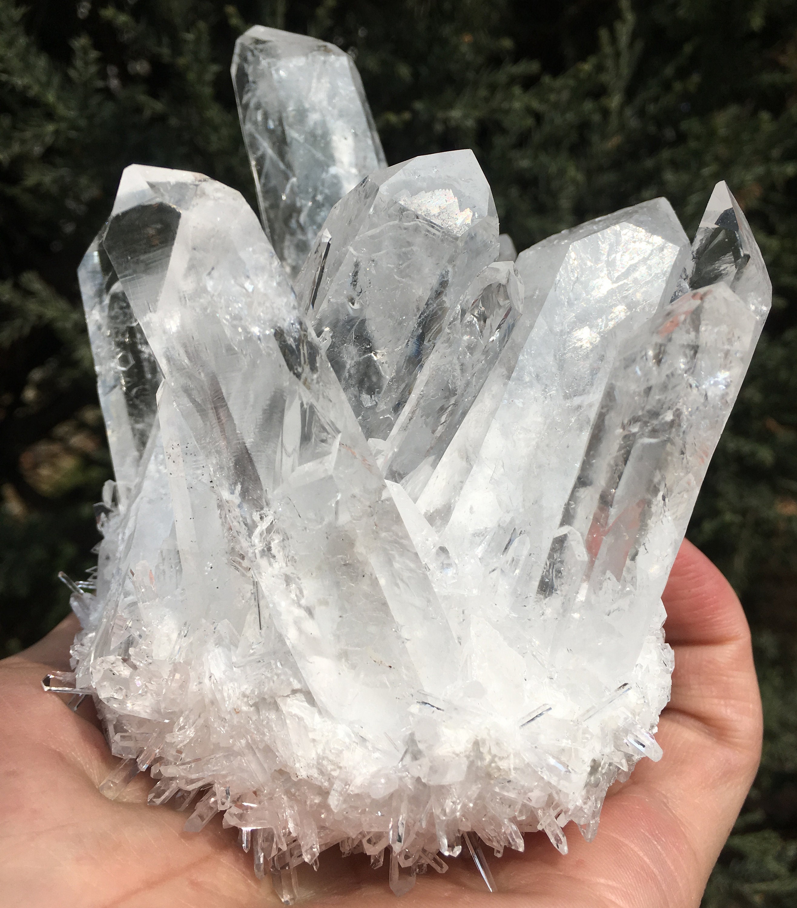 Starborn Angel Aura Quarz Kristall - Schillernd & Energetisierend