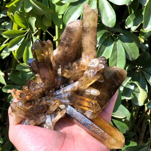 Top Large Raw black +yellow Crystal Cluster/Black Quartz Cluster/Quartz Cluster/Rough Black Abundance Crystal Plate/Healing Crystal/Energy