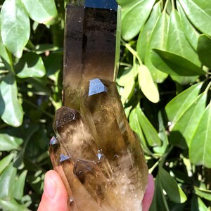 Large Raw White crystal + yellow Crystal Cluster/Black Quartz Cluster/Quartz Cluster/Black Abundance Crystal /Reiki/Meditation/self stand