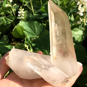 Peut inclure: Un groupe de trois cristaux de quartz transparents à l'aspect naturel et brut. Les cristaux sont pointus et ont une apparence translucide légèrement nuageuse.