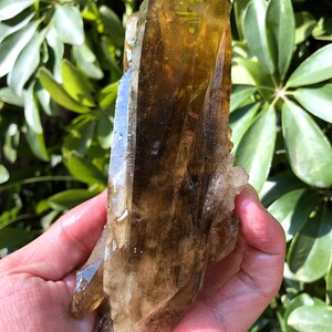 Top Large Raw black +yellow Crystal Cluster/Black Quartz Cluster/Quartz Cluster/Rough Black Abundance Crystal Plate/Healing Crystal/Energy