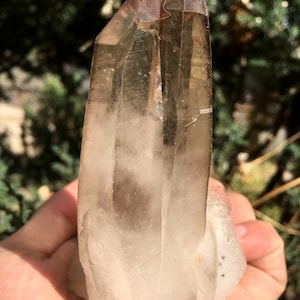 Peut inclure: Amas de cristal de quartz fumé à double terminaison avec une apparence claire et translucide. Le cristal est une formation naturelle avec une forme rugueuse et irrégulière.