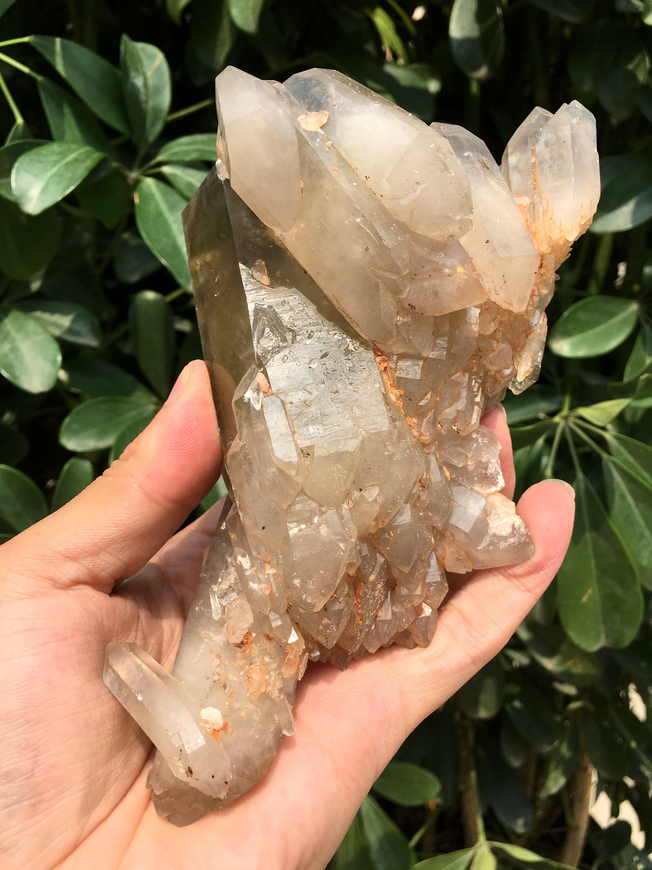 Top Large Raw Yellow Crystal Cluster/yellow Quartz Etsy UK