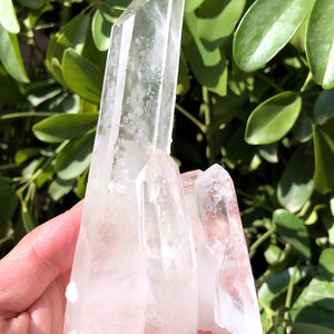 Peut inclure: Un groupe de cristaux de quartz transparents de forme pointue. Les cristaux sont disposés en formation verticale, avec le cristal le plus haut au centre. Les cristaux sont translucides et ont un léger éclat.
