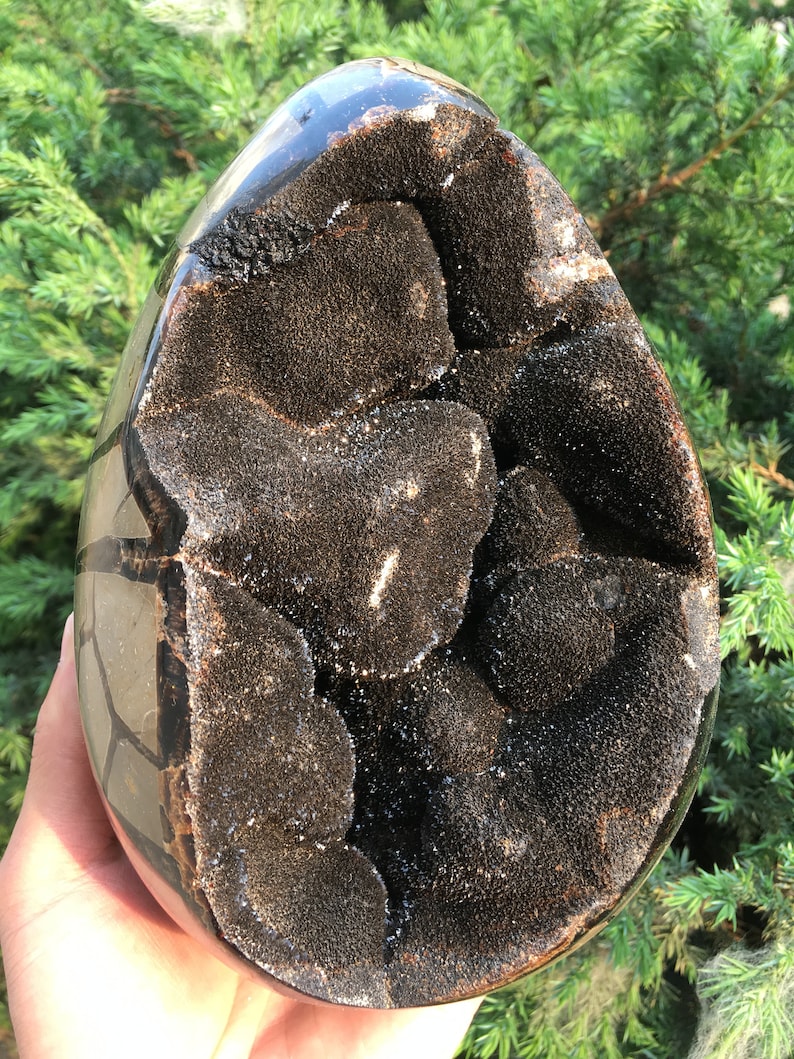 Natural with Black Calcite CrystalsEgg septariumMineral Specimen DisplayLucky StoneMeditation stoneValentine/'s Day presentEnergy stone