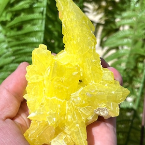 Top Natural Raw Crystal Specimen-Fascinating Yellow native Sulfur Crystal-Chakra-Meditation/specimen/Feng Shui/Healing crystal/Energy stone
