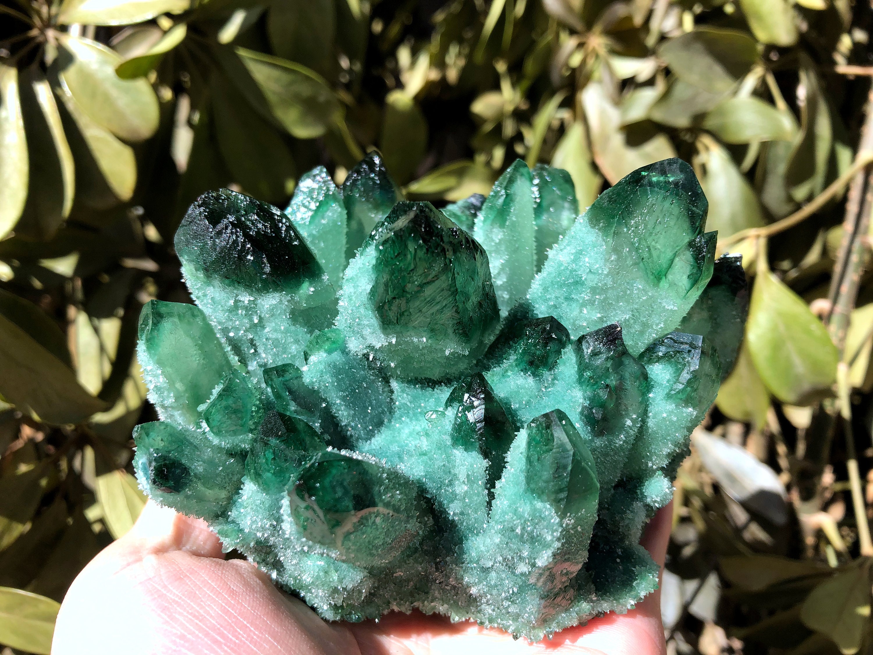 Green Cactus Quartz Cluster/Stunning Clear Points With Phantom Inclusions/Angel Aura Crystal Cluster/Reiki/Meditation/Self Stand
