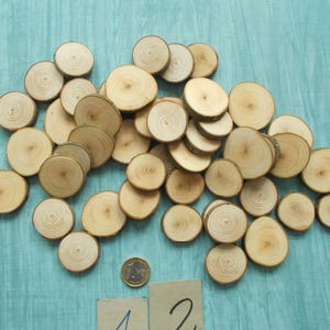 Könnte beinhalten: Eine Ansammlung kleiner, runder Holzscheiben mit sichtbaren Jahresringen, angeordnet auf einer türkisfarbenen Oberfläche. Eine Münze und zwei kleine nummerierte Karten sind ebenfalls vorhanden. Die Holzscheiben variieren in der Größe.
