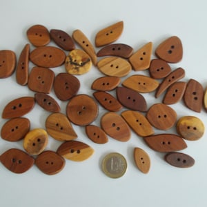 Könnte beinhalten: Eine Sammlung verschiedener Holzknöpfe in Braun- und Beigetönen, mit zwei oder vier Löchern zum Annähen. Die Knöpfe haben unterschiedliche Formen, darunter oval, rund und blattartig. Eine Euro-Münze dient als Größenvergleich.