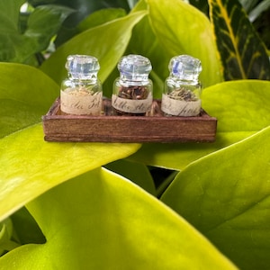 May include: Three small glass jars with cork tops and handwritten labels. The jars are filled with dried herbs and are sitting on a wooden shelf. The shelf is in front of a green leafy plant.