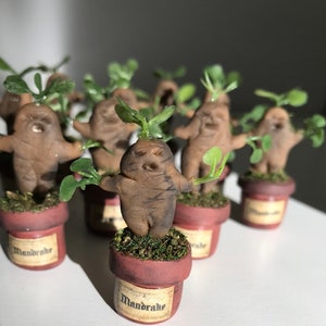 Baby Mandragora!! Miniature!! Caution!!