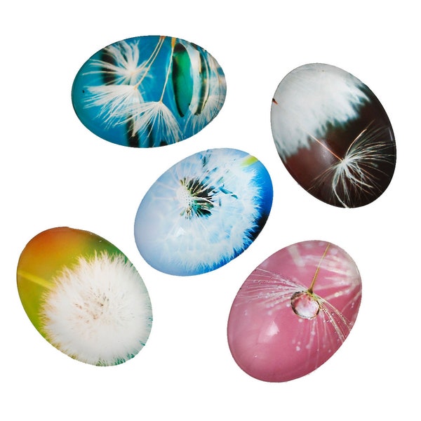 2 x Cabochon Pusteblume Bunt 40 x 30 mm