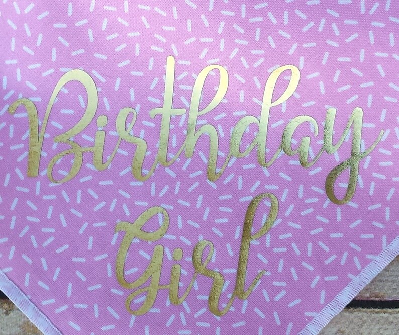 Birthday Girl Tie On Dog Bandana Pink Sprinkles Dog Scarf Gold Neckwear Happy Birthday Cat Bandana