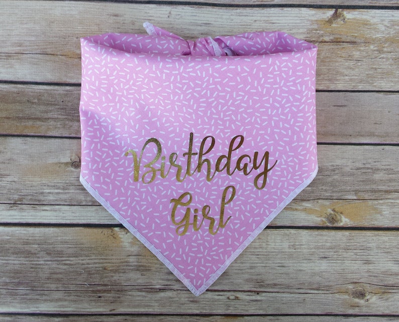 Birthday Girl Tie On Dog Bandana Pink Sprinkles Dog Scarf Gold Neckwear Happy Birthday Cat Bandana