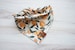 Peach Dog Bandana | Tie On 