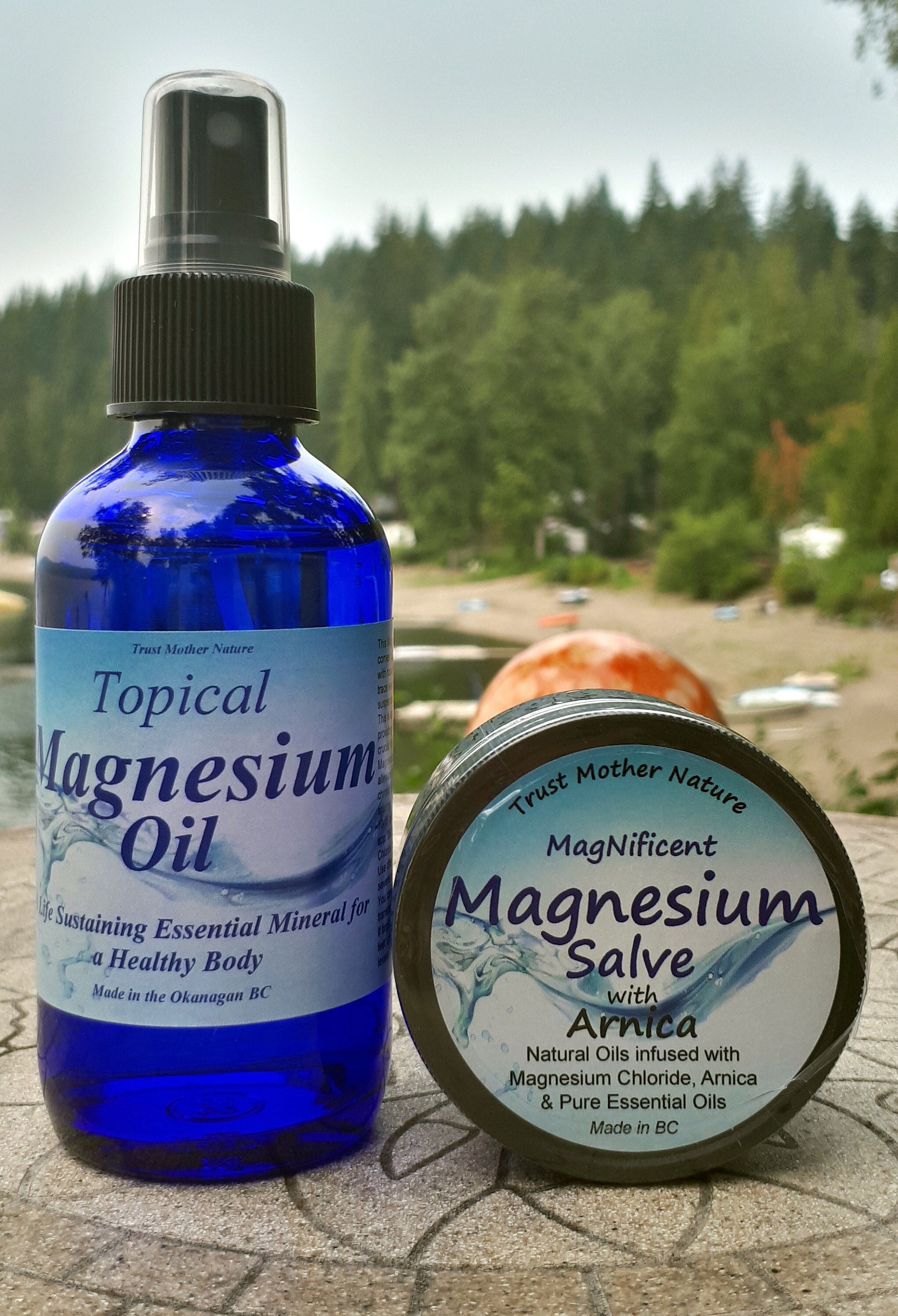 Magnesium Salve with Arnica and Essential Oils All Naturally Etsy