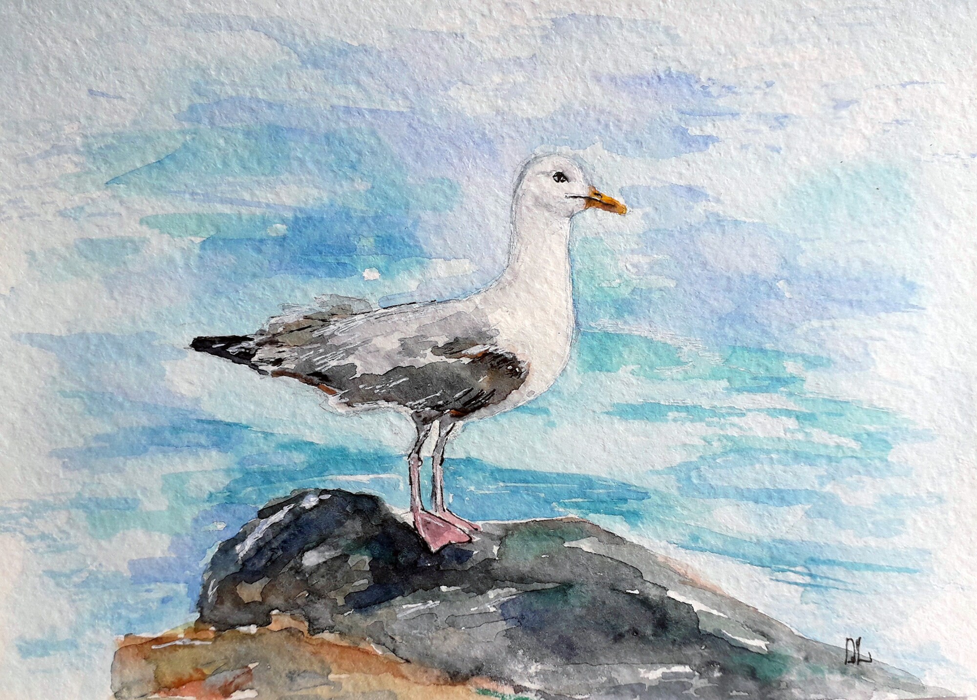 Seagull Painting Shorebird Original Art Beach Bird Artwork Etsy