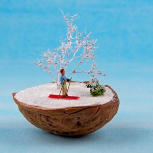 Miniature, nut bowl - cross-country skiing in the Nußtal