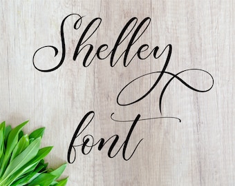Fonts Shelley font otf font svg wedding font svg Cutfile Calligraphy font svg Cursive font svg Handwritten font svg Script font Brush font