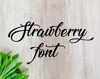 font otf elegant font elegant monogram elegant font svg fancy elegant font elegant monogram svg elegant font cricut cursive elegant font