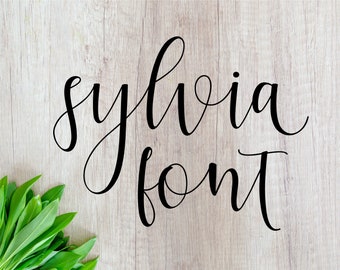 Download Fonts Sylvia Font Otf Font Svg Wedding Font Svg Cutfile Calligraphy Font Svg Cursive Font Svg Handwritten Font Svg Script Font Brush Download 14543 Free Commercial Use Script Fonts