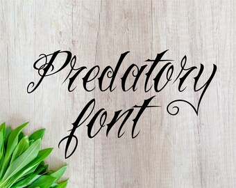 Predatory font cursive font svg font svg font otf svg fonts script font svg cursive letters svg wedding font svg files for cricut svg fonts