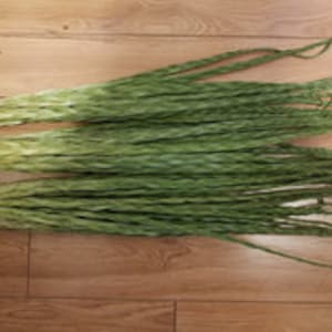 May include: A bundle of long, thin, green and white plant stems against a light brown background.
