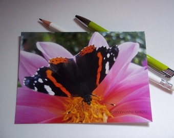Postkarte Schmetterling in Dahlie glänzend veredelt