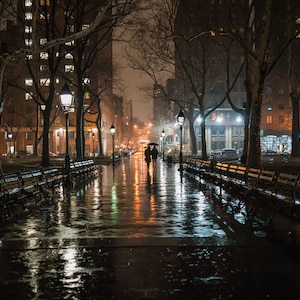 Washington Square Park After The Rain