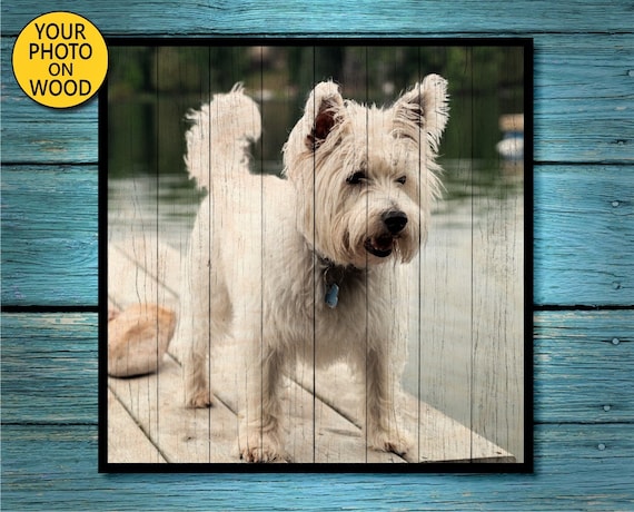 Cat for a meaningful gift hand painted from your photograph onto an A4 piece of birch plywood with acrylic paint Dog or pet portrait