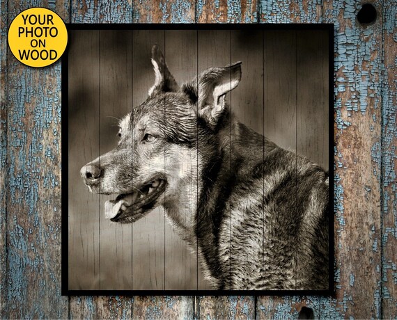 dog lover gifts for him