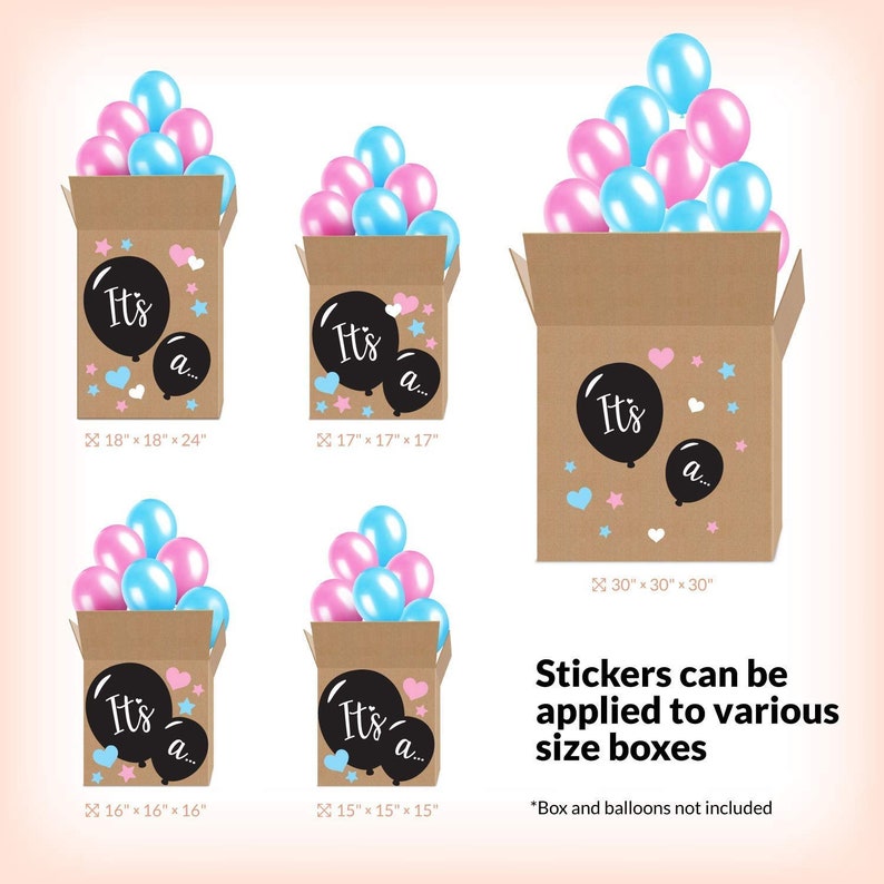 Gender Reveal Box Sticker Kit Gender Reveal Box Sign - Etsy France