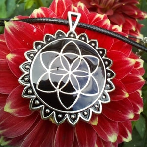 May include: A silver pendant with a black enamel flower of life design. The pendant is hanging from a black leather cord and is resting on a red flower.