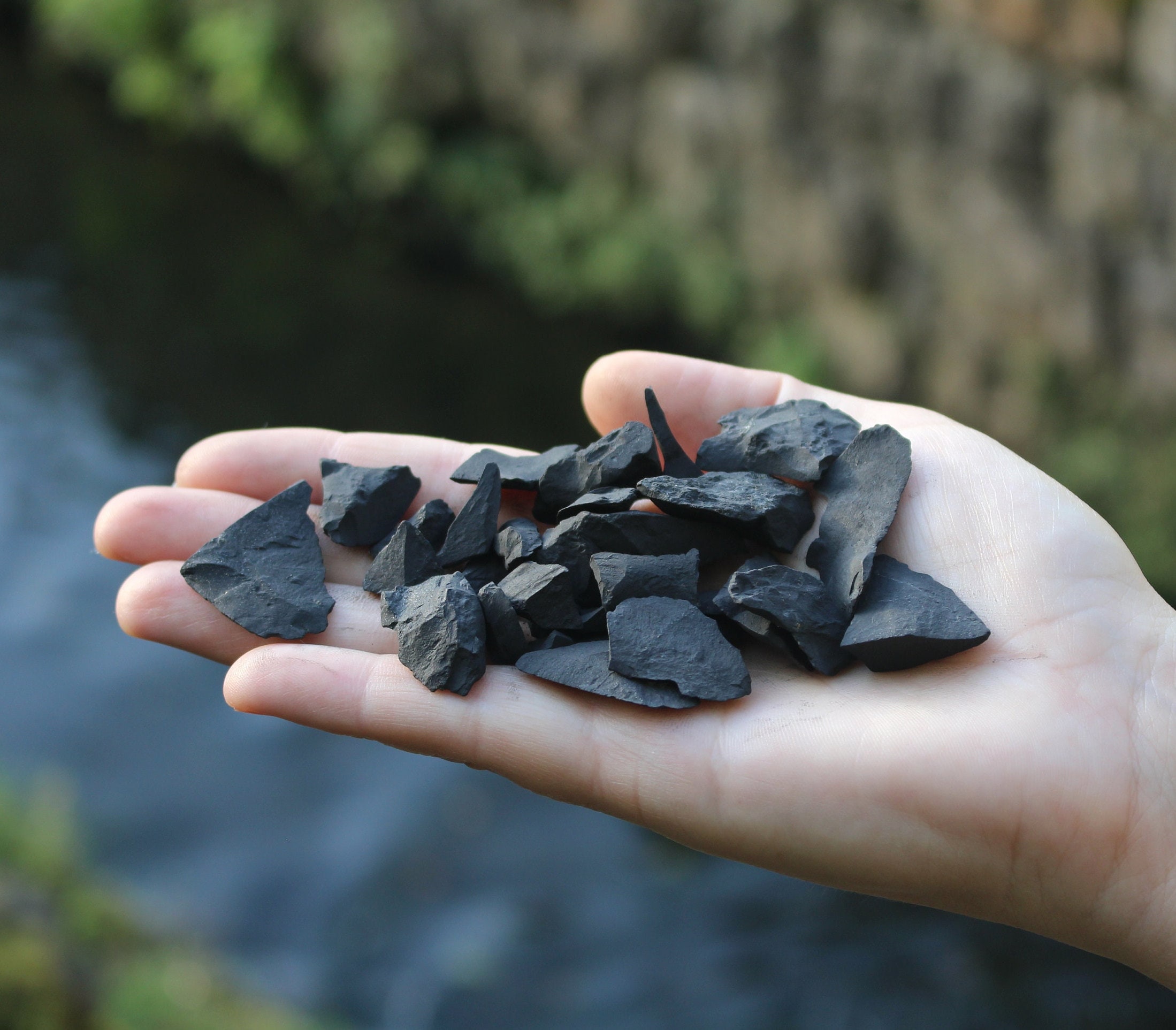 Piedras de Shungita Trozos naturales crudos de Rusia Piedra de Shungita  para purificación de agua, protección EMF, desintoxicación -  México