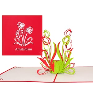 Pop-upkaart "Tulpen uit Amsterdam" - 3D-kaart als cadeau-idee, verjaardagskaart-souvenir, waardebon, decoratie en reisbon voor Nederland